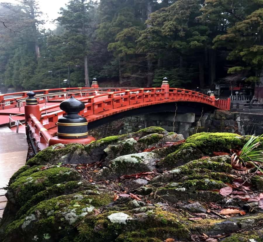 Shimizu: Nikko Private Historical & Spiritual full-day Tour - Final Thoughts: Is This Tour Right for You?