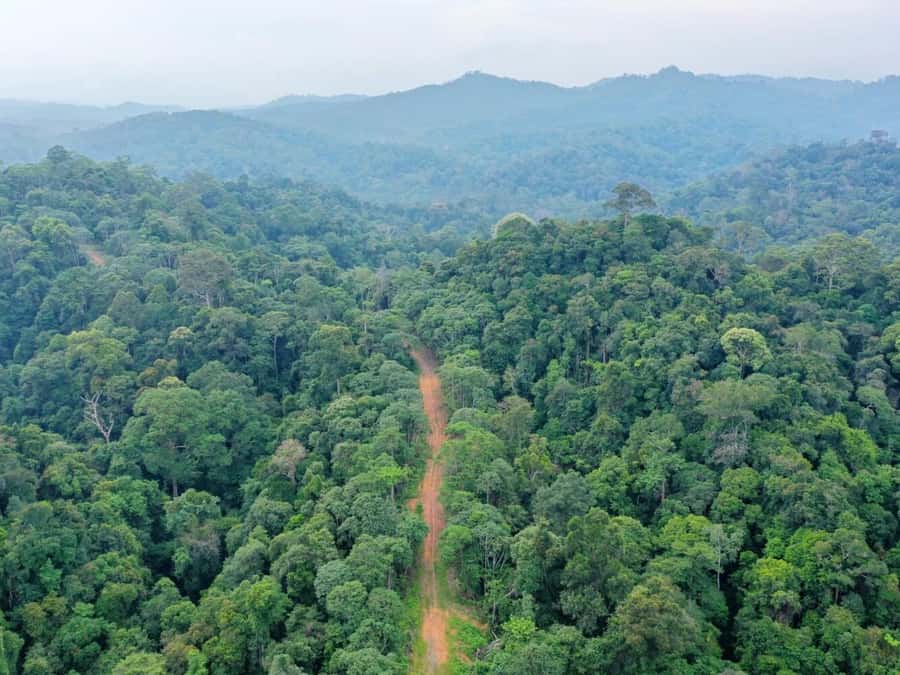 Ubud: Real Hidden Jungle ATV Quad Bike Tour - Key Points