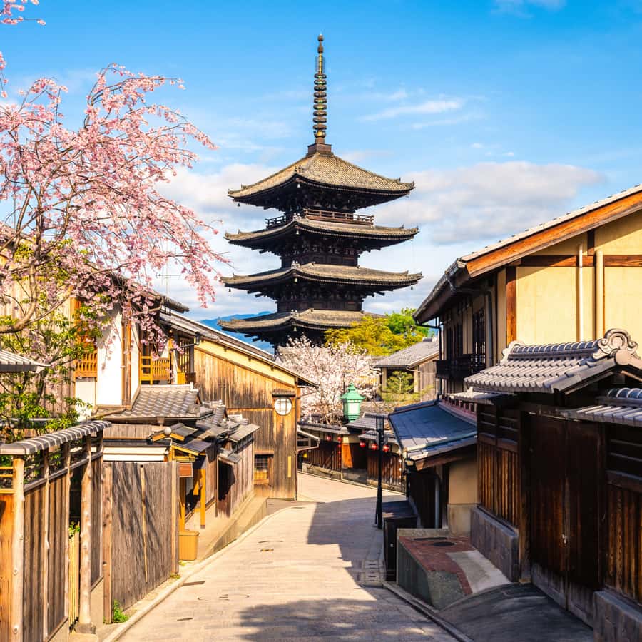 From Kyoto: Kyoto Highlights Private Tour with English Guide - The Experience: A Deep Dive into Kyoto’s Top Spots