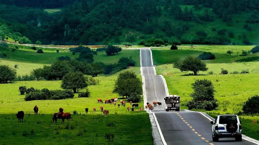 Chongqing: Tiansheng Three Natural Bridges Carpool Tour - The Itinerary Breakdown and What You Can Expect