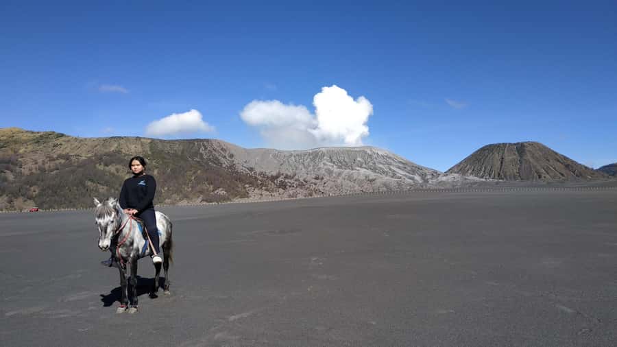 Surabaya or Malang: 2D1N Private Mount Bromo Trekking Tour - What Sets This Tour Apart?