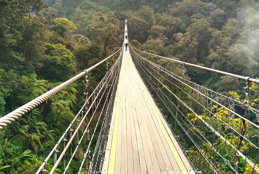 From Jakarta/Bandung: Sky-Bridge & Volcanic Crater Tour - Good To Know