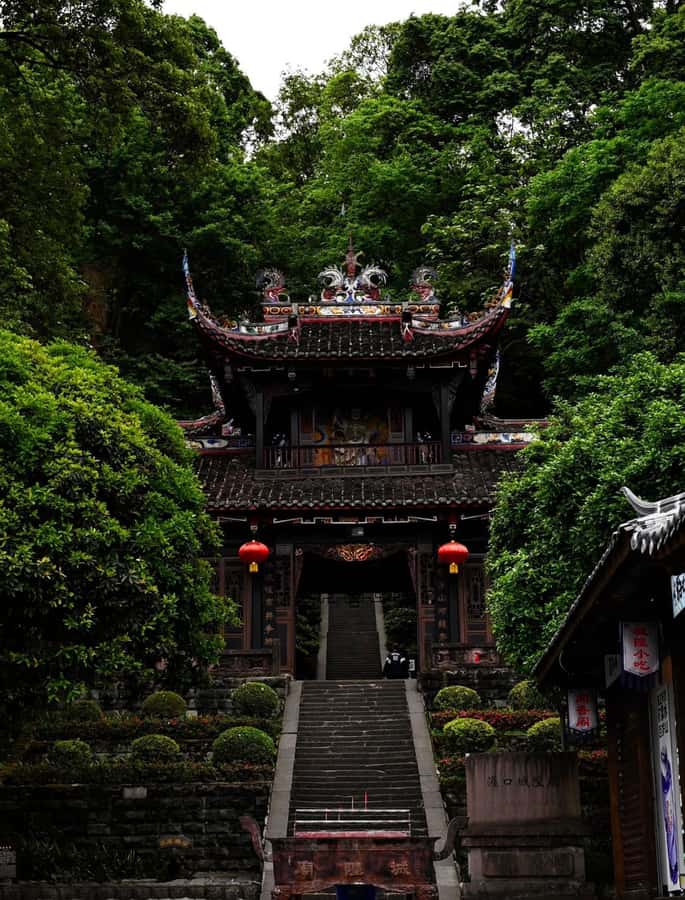 Chengdu, SichuanMount Qingcheng Entry Ticket with Passport - Good To Know