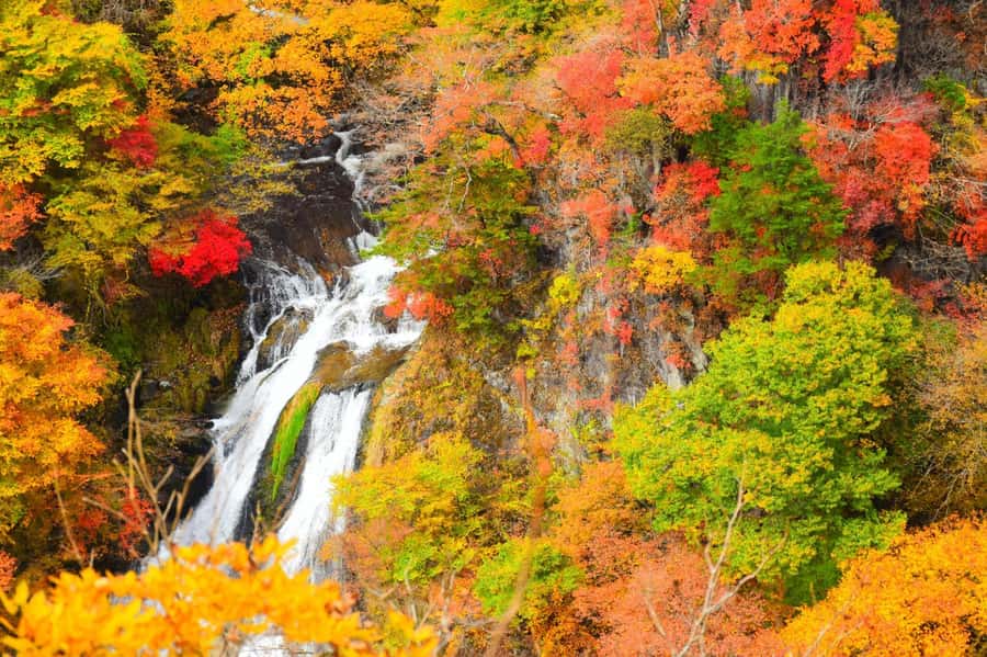 From Tokyo: Nikko Private Tour with UNESCO Sites - FAQ