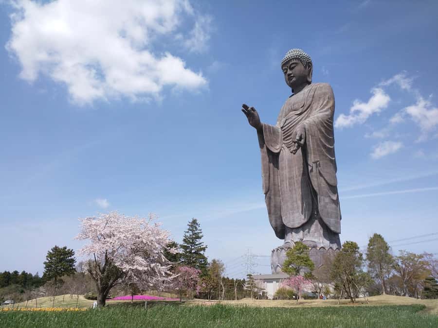 Ibaraki: Ushiku Daibutsu, Worlds Tallest Buddha - Why This Tour Is Worth It