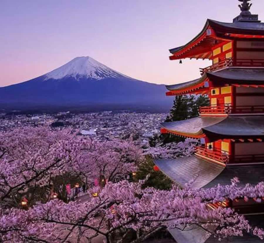 From Tokyo: Mount Fuji Private Customizable Full-Day Tour - The Sum Up
