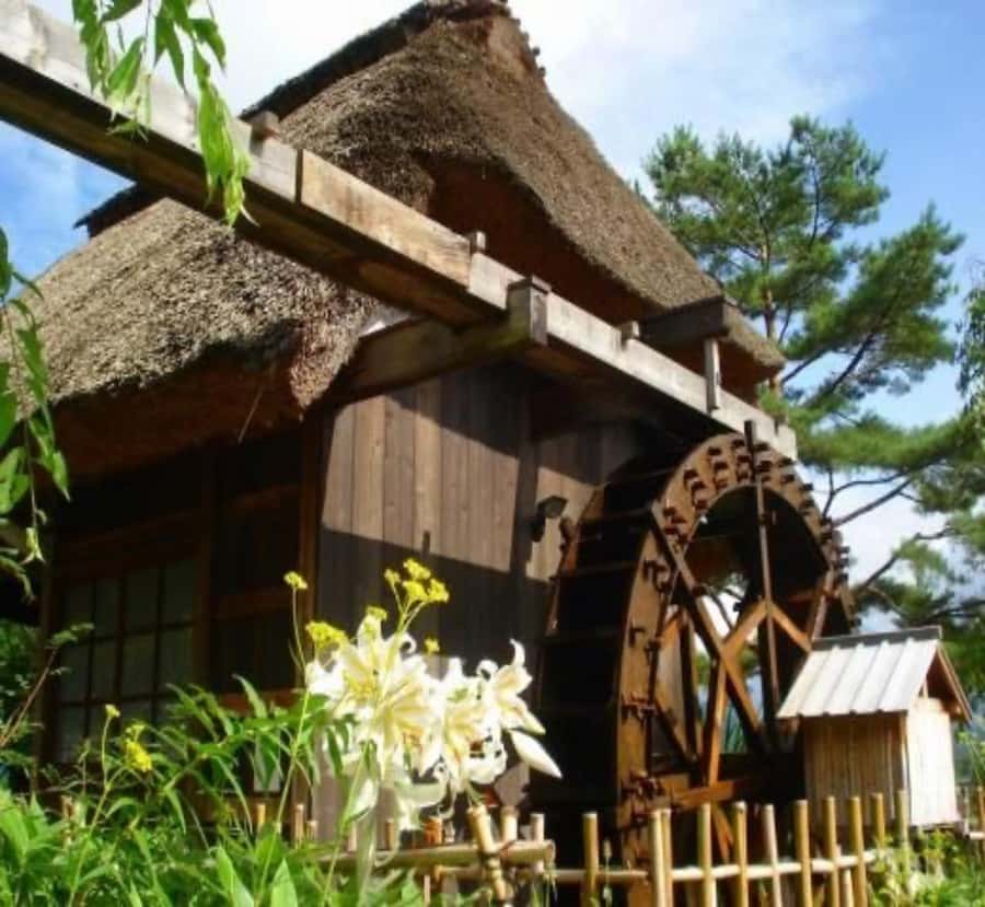 From Nagano: Mount Fuji Highlights & Hidden Landscapes Tour - Good To Know