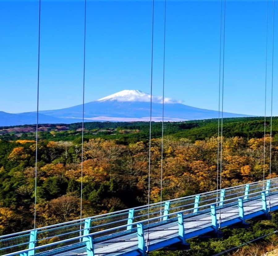 From Nagano: Mount Fuji Highlights & Hidden Landscapes Tour - Exploring Each Stop in Detail