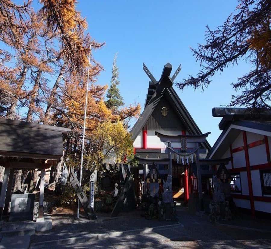 From Nagano: Mount Fuji Highlights & Hidden Landscapes Tour - The Overall Experience & Practical Insights