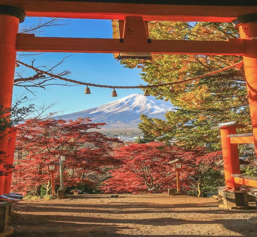 From Nagano: Mount Fuji Highlights & Hidden Landscapes Tour - Frequently Asked Questions