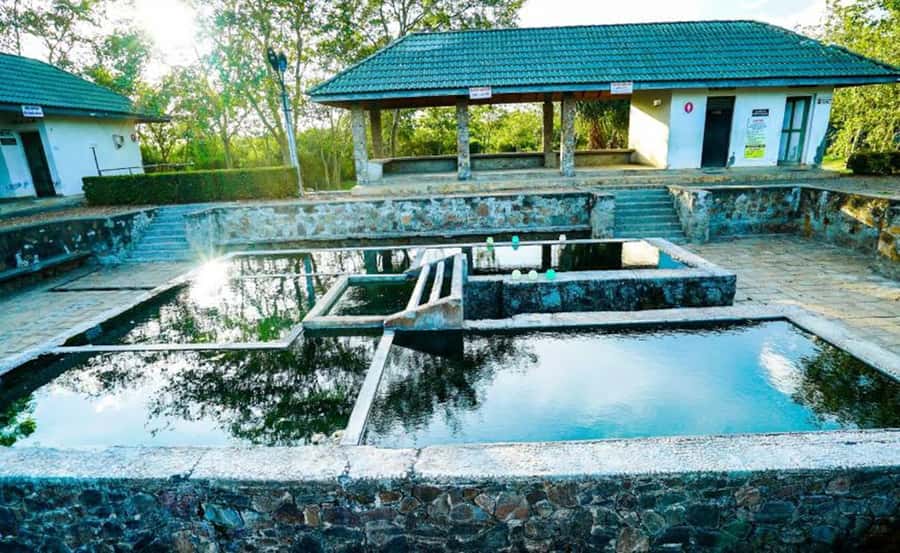 Galle: Udawalawa National Park Safari & Hot Springs Tour - Detailed Breakdown of the Tour