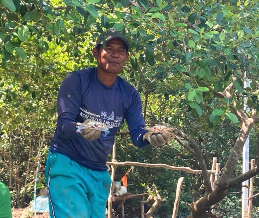 Koh Yao Yai : Mangrove Kayaking Adventure - Key Points