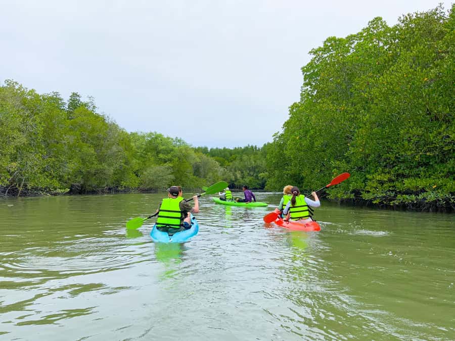 Koh Yao Yai : Mangrove Kayaking Adventure - The Experience from the Reviewers Perspective