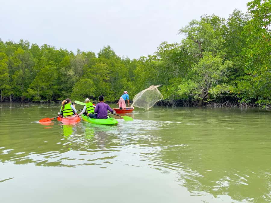 Koh Yao Yai : Mangrove Kayaking Adventure - Why This Tour Offers Good Value