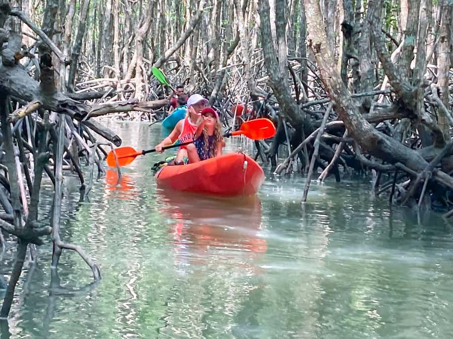 Koh Yao Yai : Mangrove Kayaking Adventure - Final Thoughts