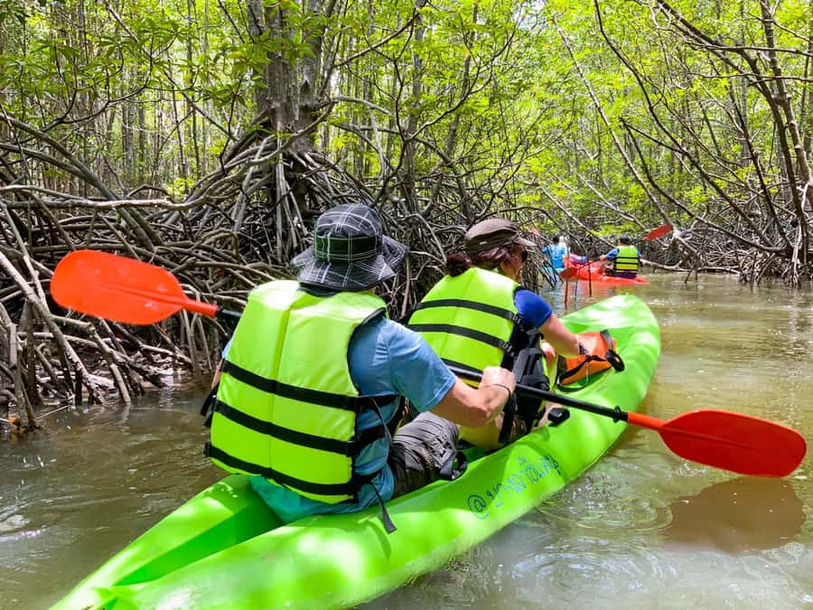 Koh Yao Yai : Mangrove Kayaking Adventure - FAQ