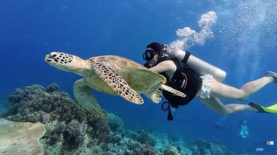 Mabul-Kapalai Islands Diving & Lunch &Photography Tour - Practical Details & Considerations