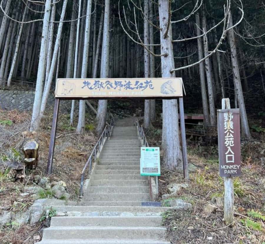 Shizuoka: Nagano private Tour with English speaking guide - Key Points