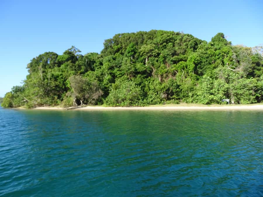Byron Bay: Brunswick River Eco-Cruise with Brunch - Key Points