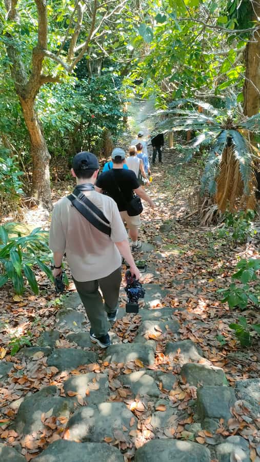 Songs Beneath the Stars on Okinawas 65-Person Hidden Island - Who Is This Tour Best For?