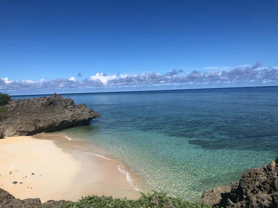 Songs Beneath the Stars on Okinawas 65-Person Hidden Island - An In-Depth Look at the Hatoma Island Tour