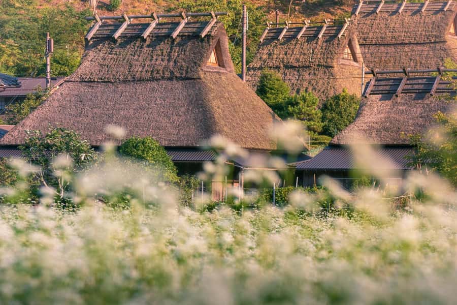 Miyama Village&Amanohashidate&Ine no Funaya Day Tour - An In-Depth Look at the Tour Experience