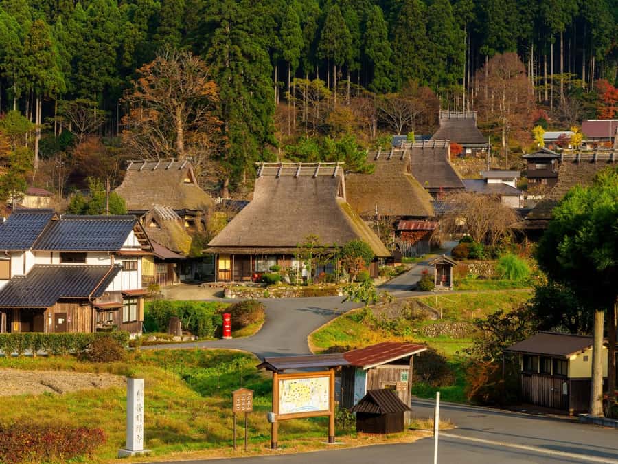 Miyama Village&Amanohashidate&Ine no Funaya Day Tour - Starting Point and Early Morning Departure