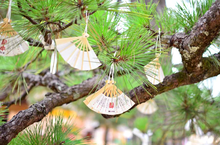 Miyama Village&Amanohashidate&Ine no Funaya Day Tour - Price and Value