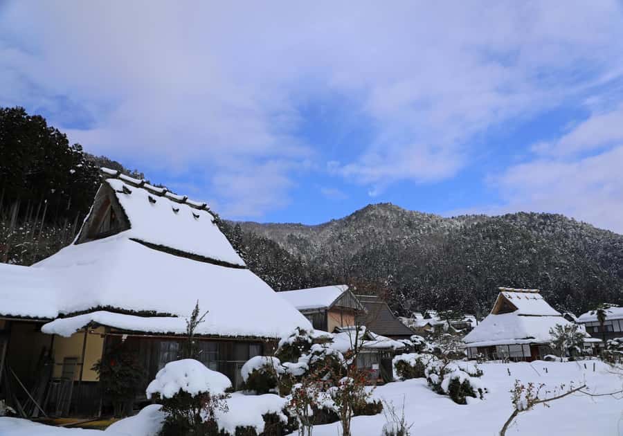 Miyama Village&Amanohashidate&Ine no Funaya Day Tour - Good To Know