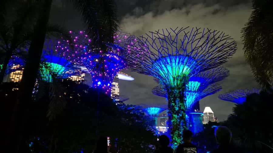 Glow with the Flow: Singapore's Illuminated River Experience - Who Is This Tour Best For?