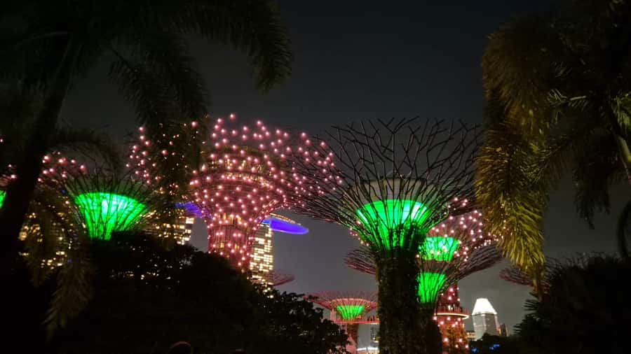 Glow with the Flow: Singapore's Illuminated River Experience - What to Expect from the Tour