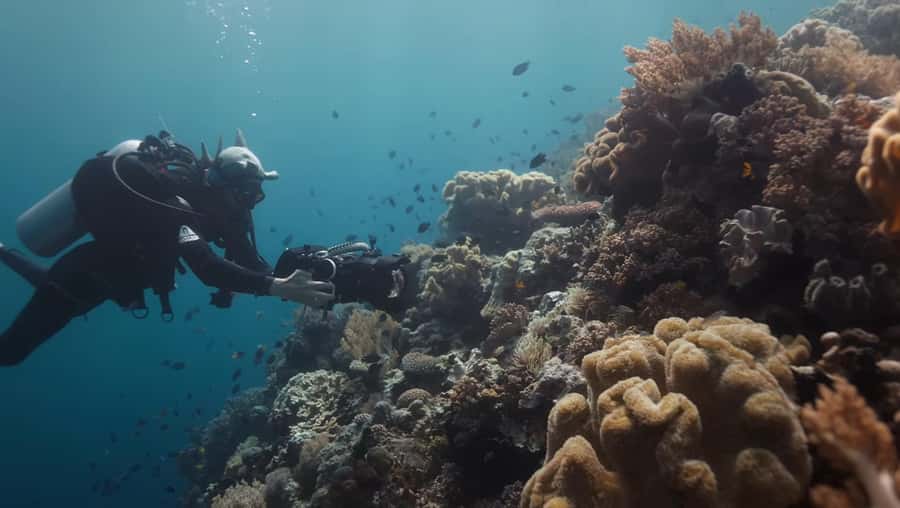 Yogyakarta: Goa Jomblang, Goa Pindul, & Snorkeling Tour - Practical Information