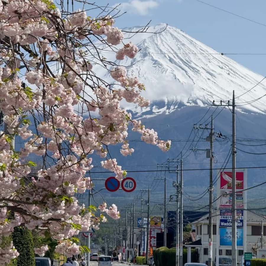 Tokyo: Mt. Fuji Tour, Lake Ashi, Hakone Ropeway, Owakudani, - What You Can Expect from This Private Mt. Fuji Tour