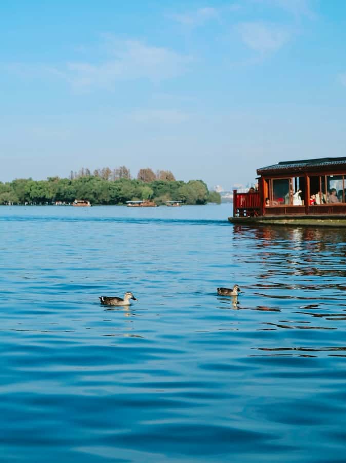 Enjoy Hangzhou Like Lords: West Lakes Boat, Tea, Painting - Who This Tour Is Best For