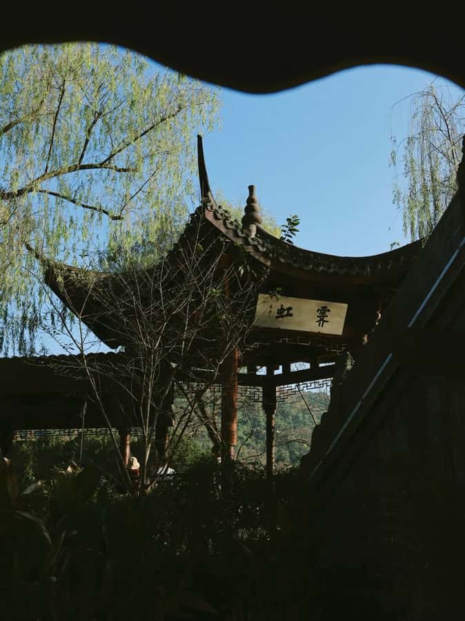 Enjoy Hangzhou Like Lords: West Lakes Boat, Tea, Painting - Concluding the Tour