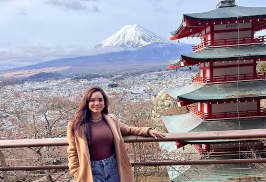 Tokyo: Mount Fuji Full Day Private Tour With English Guide - Insights from Verified Reviews