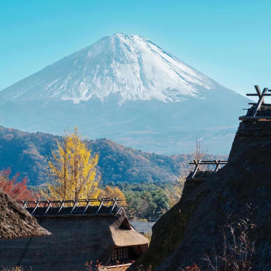 Tokyo: Mount Fuji Full Day Private Tour With English Guide - Key Points