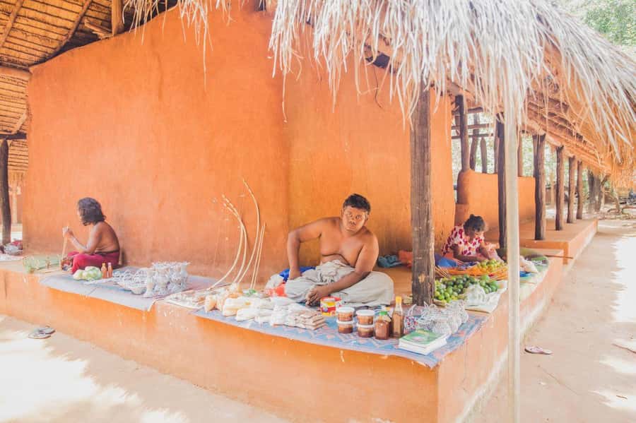 Mahiyanganya: Dambana Vedda Village Guided Tour with Pickup - Who Would Love This Tour?