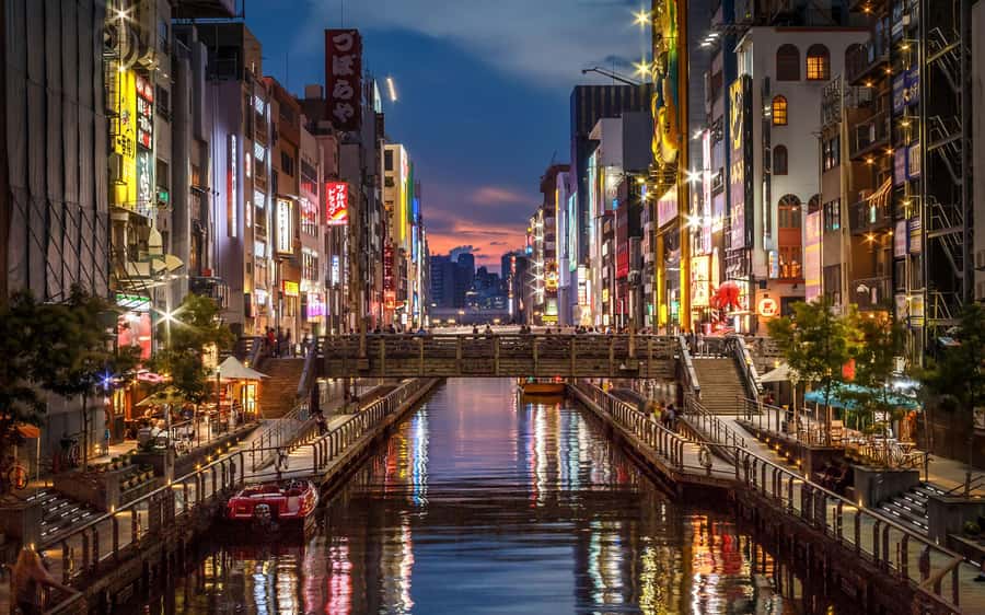 Japan: 7-Day Private Tour with Driver and Guide - Who Is This Tour Best For?