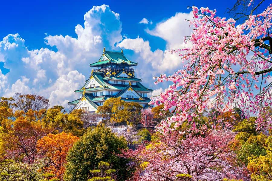 Osaka: Private Custom Full-Day City Tour with Hotel Pickup - A Detailed Look at the Tour Experience