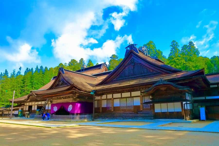 Osaka/Kyoto: Mt. Koya & Nachi Falls UNESCO Private Day Tour - Who Should Consider This Tour?