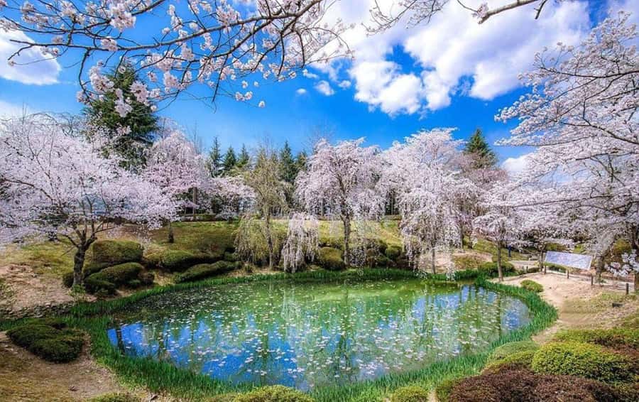 Gyeongju: UNESCO & Heritage Private Custom Tour - Introduction