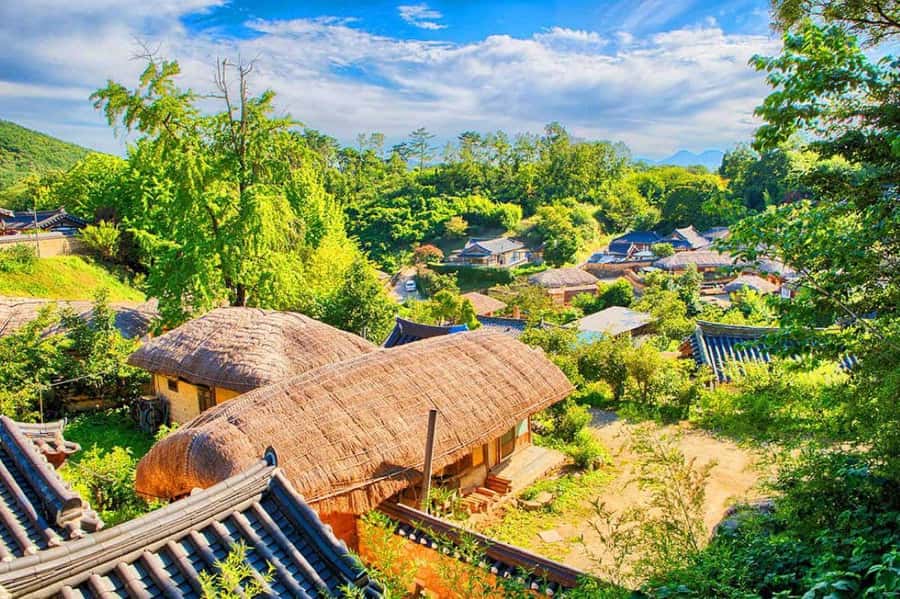 Gyeongju: UNESCO & Heritage Private Custom Tour - Royal Tombs & Historic Sites