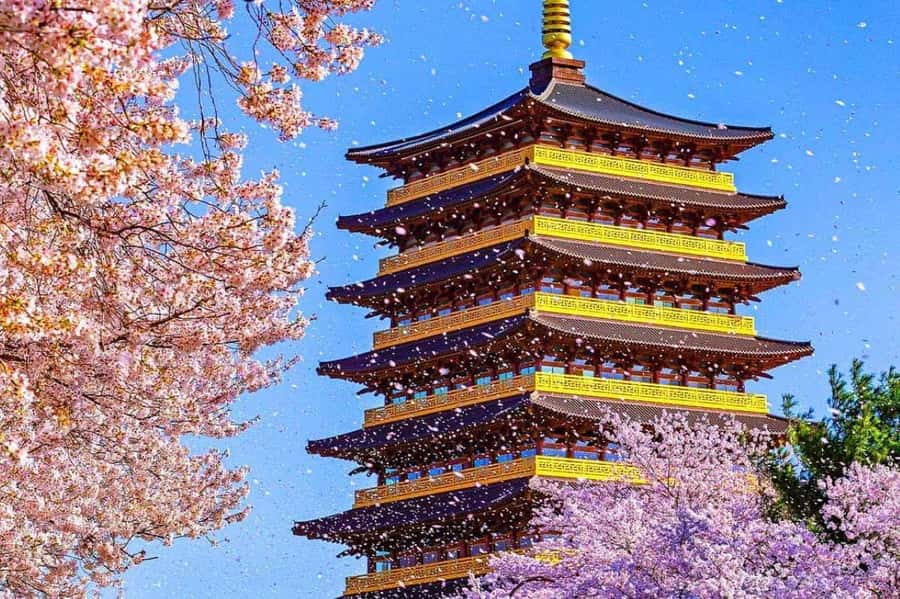 Gyeongju: UNESCO & Heritage Private Custom Tour - Frequently Asked Questions