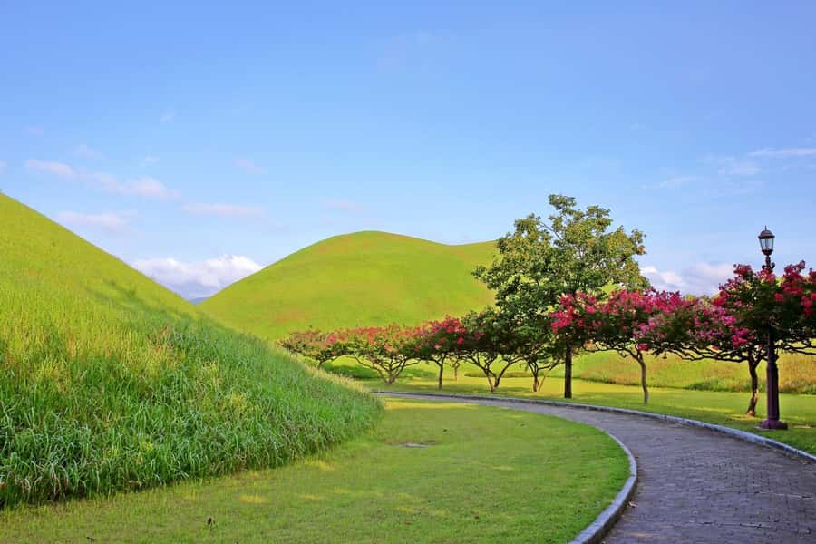 Gyeongju: UNESCO & Heritage Private Custom Tour - Value for Money
