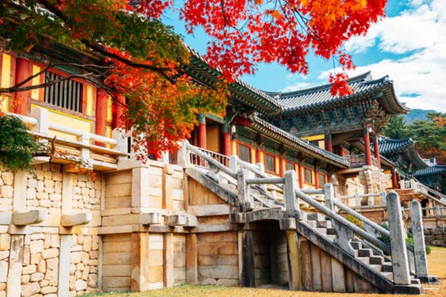 Gyeongju: UNESCO & Heritage Private Custom Tour - Practical Details & Logistics