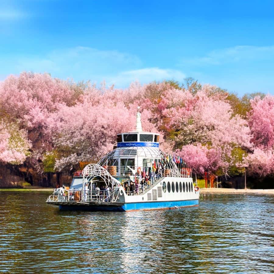 From Seoul: Private Custom Gapyeong Tour with English Driver - Practical Tips for a Smooth Experience