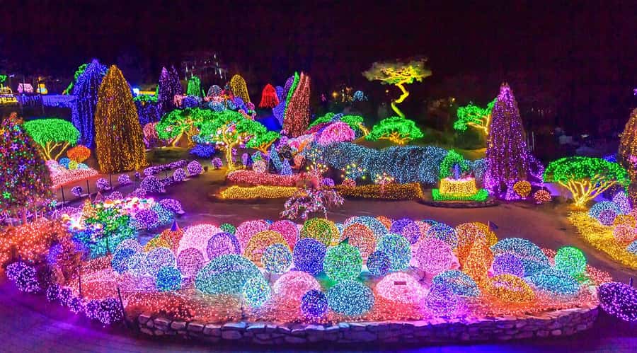 From Seoul: Private Custom Gapyeong Tour with English Driver - Final Thoughts