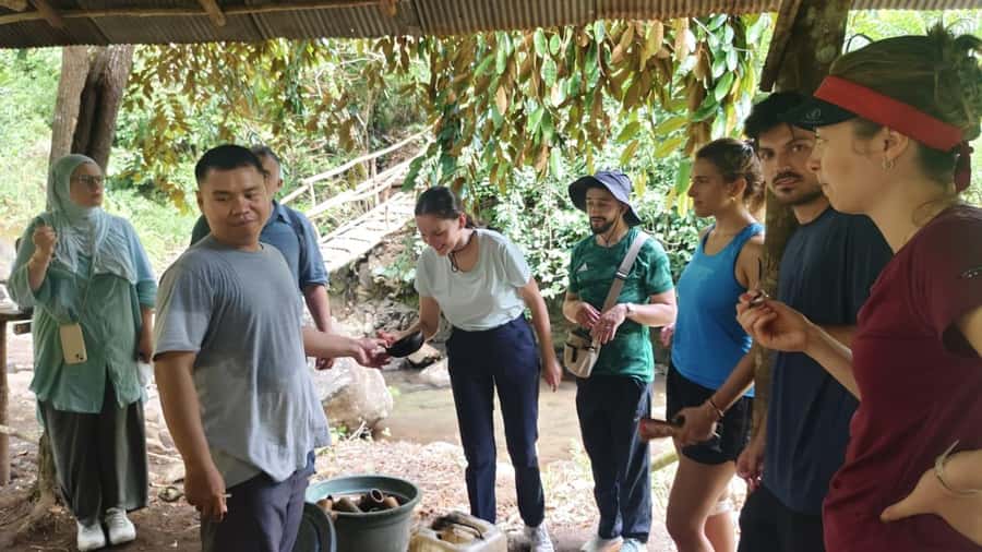 Lombok: Jungle Hike, Food Foraging, and Cooking Class - Foraging for Local Foods: Palm Sugar, Coffee, and Cocoa