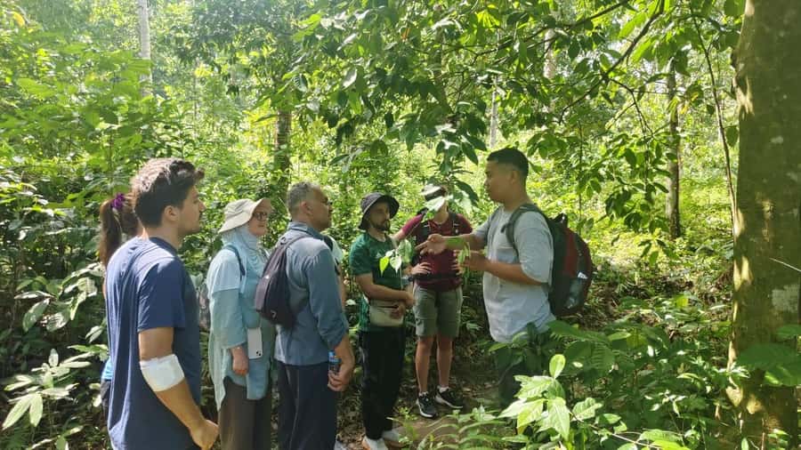 Lombok: Jungle Hike, Food Foraging, and Cooking Class - Practical Details and What You Should Know
